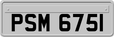 PSM6751
