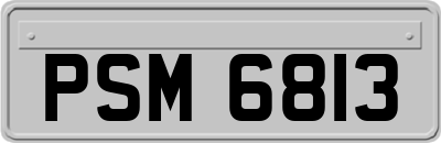 PSM6813