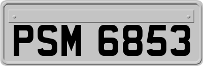 PSM6853