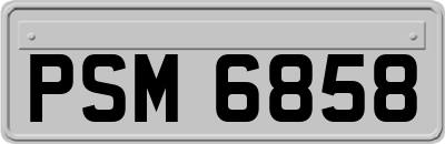 PSM6858
