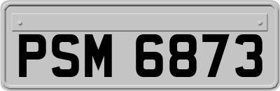 PSM6873