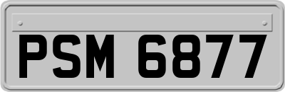 PSM6877