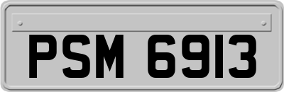 PSM6913