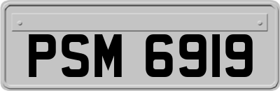 PSM6919
