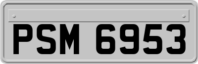 PSM6953