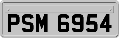 PSM6954