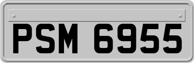 PSM6955