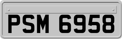PSM6958