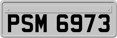 PSM6973