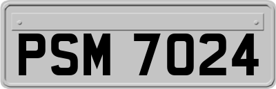 PSM7024