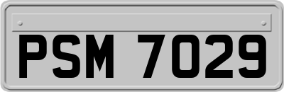 PSM7029