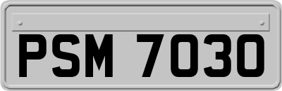PSM7030