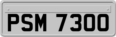 PSM7300