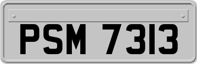 PSM7313