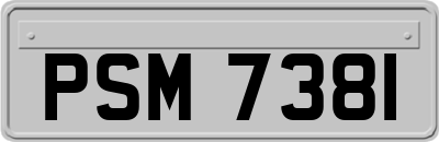 PSM7381