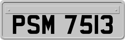 PSM7513
