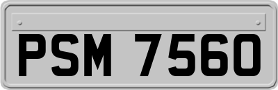 PSM7560