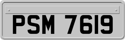 PSM7619