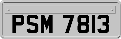 PSM7813