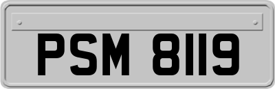 PSM8119