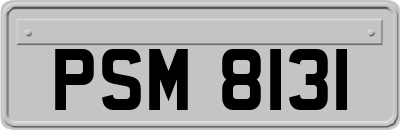 PSM8131