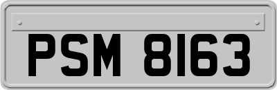 PSM8163