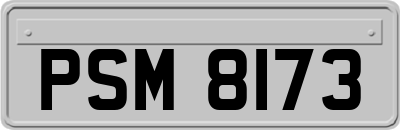 PSM8173