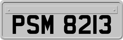 PSM8213