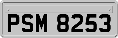 PSM8253