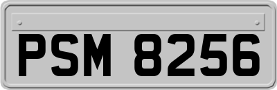 PSM8256