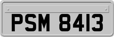 PSM8413