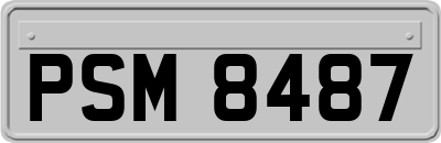 PSM8487