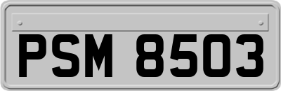 PSM8503