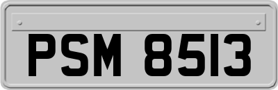 PSM8513