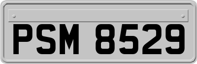 PSM8529