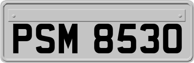 PSM8530