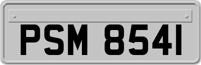 PSM8541