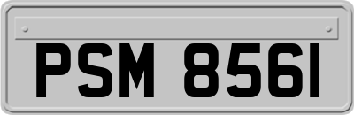 PSM8561