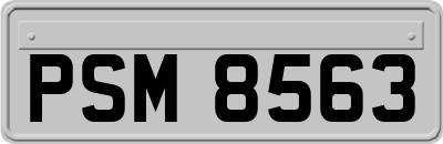 PSM8563