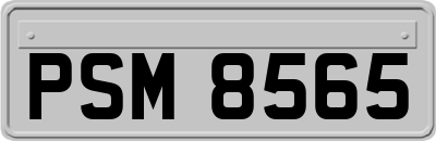 PSM8565