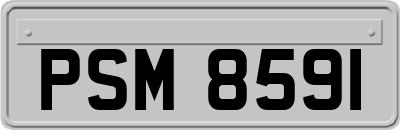 PSM8591