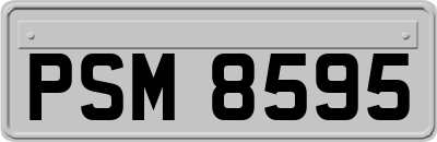 PSM8595