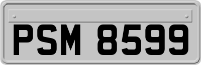 PSM8599