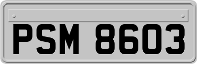 PSM8603