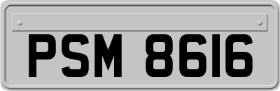 PSM8616