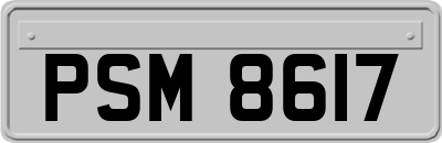 PSM8617