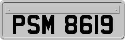 PSM8619
