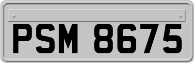 PSM8675