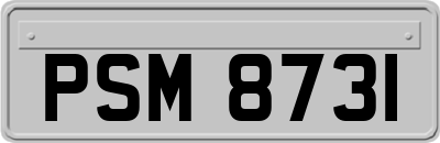 PSM8731
