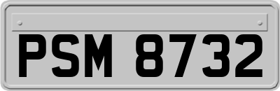 PSM8732